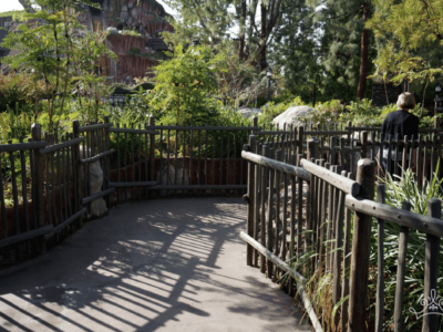 Hidden Path To Critter Country