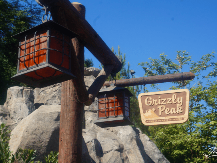 Little Details: Grizzly Peak
