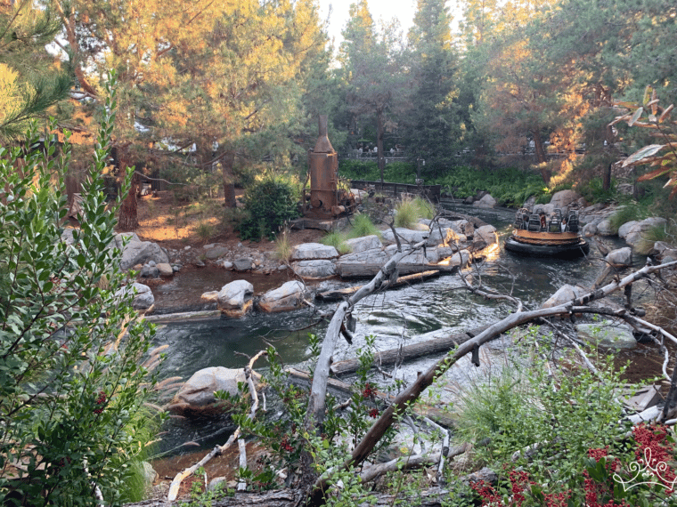 Unusual Angles: Grizzly Peak