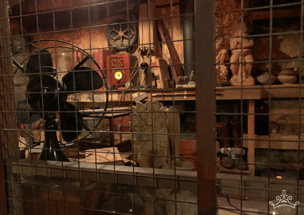 Queue Closeup: Indiana Jones Adventure - Duchess of Disneyland